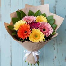 Букет цветов из:  Герберы в Шадринске