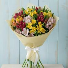 Букет цветов из:  Альстромерии в Шадринске
